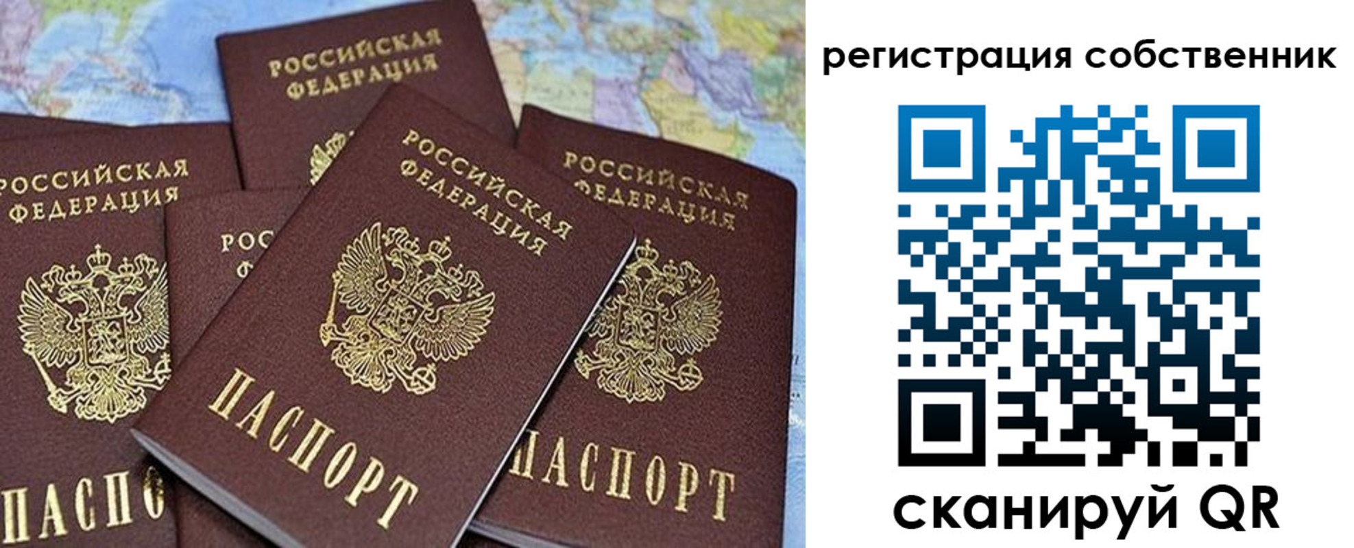 прописка для школы в Бородино